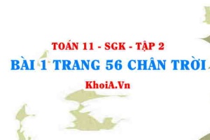 Bài 1 trang 56 Toán 11 Tập 2 Chân trời sáng tạo